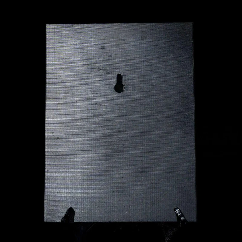 Bed of Roses Skull Scene/Figurine - Wall Art - 3D Printed